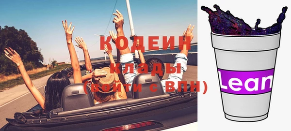 хмурый Покачи