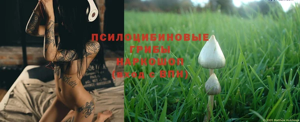 МДПВ Абдулино