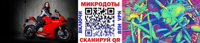Псилоцибиновые грибы ЛСД Нефтегорск