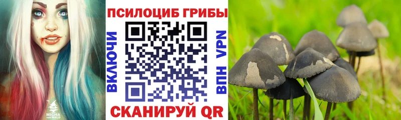 Псилоцибиновые грибы GOLDEN TEACHER  это как зайти  Нефтегорск 